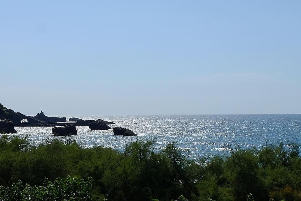 Appartement Le Sahel - Vue Imprenable Sur L'Ocean Біарріц Екстер'єр фото
